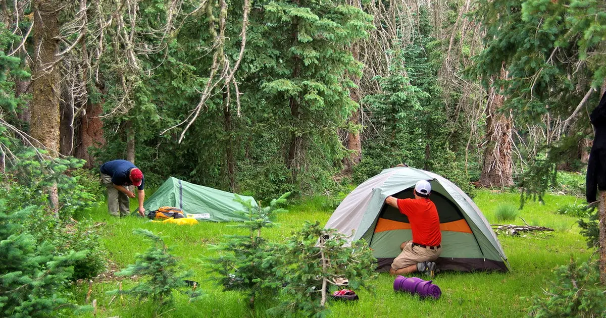 Outdoor training photo for sports equipment store